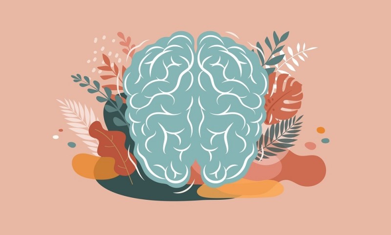 Unlocking Stress Resistance: The Power of Adaptogens