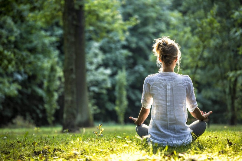 Uncovering the Benefits: CBD Oil for Stress Reviews