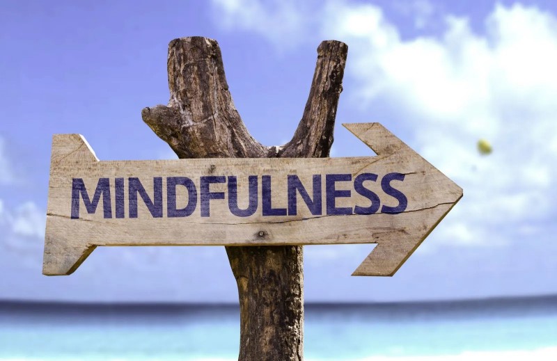 Discover the Top-Rated Meditation Cushions for a Blissful Practice